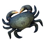 Halas Párna - THE MUD Crab 60 CM Rák - Image 2