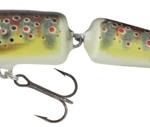 Salmo Fanatic - Image 2