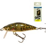 Salmo Bullhead - Image 2