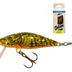 Salmo Bullhead - Image 3