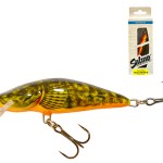 Salmo Bullhead - Image 6