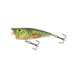 Salmo POP