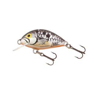 Salmo Tiny 3cm, S,F - Image 6