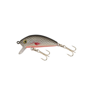 Kamasaki Perch Wobbler - Image 9