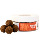 THE BIG ONE Hook Bait Wafters Boilie - Image 10