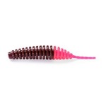 Fishup Tanta - Image 11