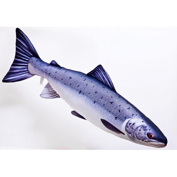 Halas Párna - THE Atlantic Salmon - Image 2