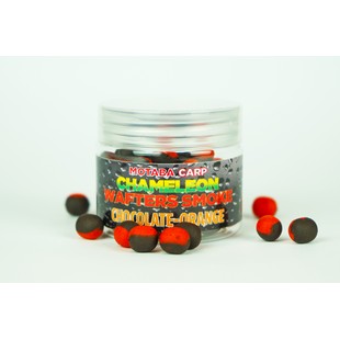 Motaba Carp Chameleon Fluo Wafters - Image 7
