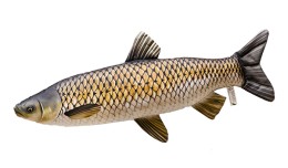 Halas Párna Amur