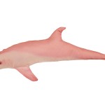 Halas Párna Delfin Pink