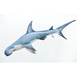Halas Párna - Great Hammerhead Shark