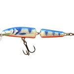 Salmo Fanatic