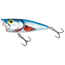 Salmo POP