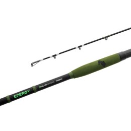 Delphin ENERGY Catfish - 310cm/250-500g/2 rész