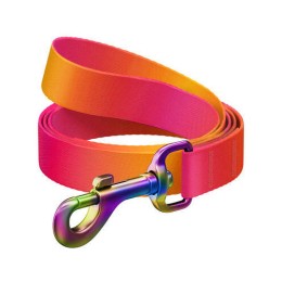 WAUDOG Nylon recycled dog leash - nylon póráz kutyák részére (20mm/122cm)