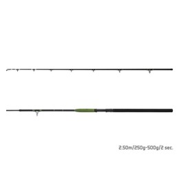 Delphin Energy Catfish 250/2 250-500g, harcsázó bot