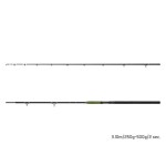 Delphin Energy Catfish 310/2 250-500g, harcsázó bot