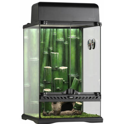 Exo-Terra Bamboo Forrest terrárium Small - Dekoratív kivitelű üvegterrárium (30x30x45cm) - Image 2