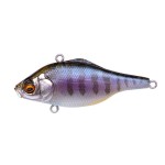 MEGABASS VIBRATION-X SMATRA RATTLE IN 64.5mm 14gr GILLKKO
