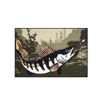 Szőnyeg Delphin CatchME! Fogassüllő - 60x40cm