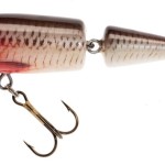 Jaxon holo select horn qm lures 11,0cm f rb