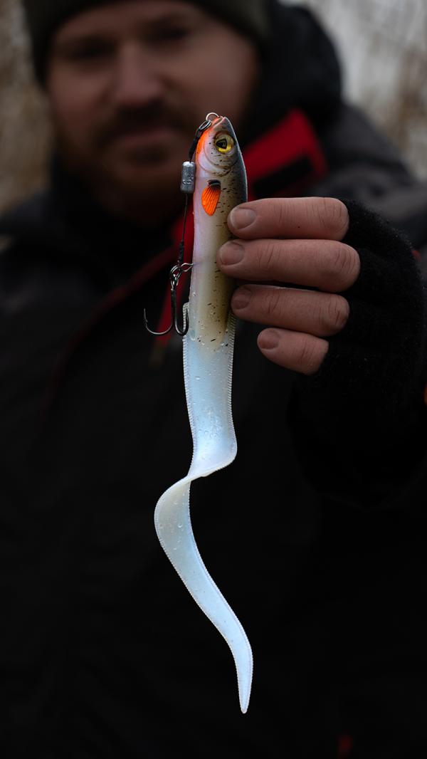 Fox rage slick eel 35cm/13.8" - uv silver halo - Image 3