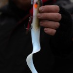 Fox rage slick eel 35cm/13.8" uv original stickleback - Image 3