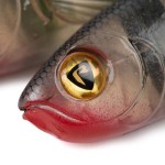 Fox rage slick eel 35cm/13.8" uv original stickleback - Image 8