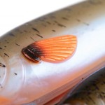 Fox rage slick eel 35cm/13.8" uv original stickleback - Image 9