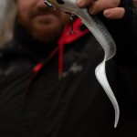 Fox rage slick eel 35cm/13.8" uv original stickleback - Image 11