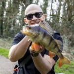 Fox rage trans camo grey lens eyewear szürke lencsés napszemüveg - Image 10