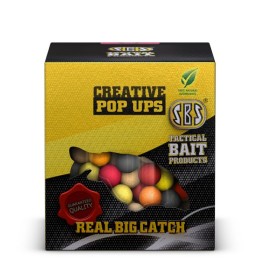 SBS Creative POP UPS