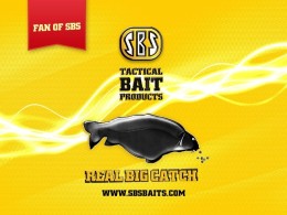 SBS FAN Flag