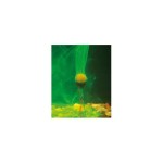 Korda - Infuza Small - Image 5